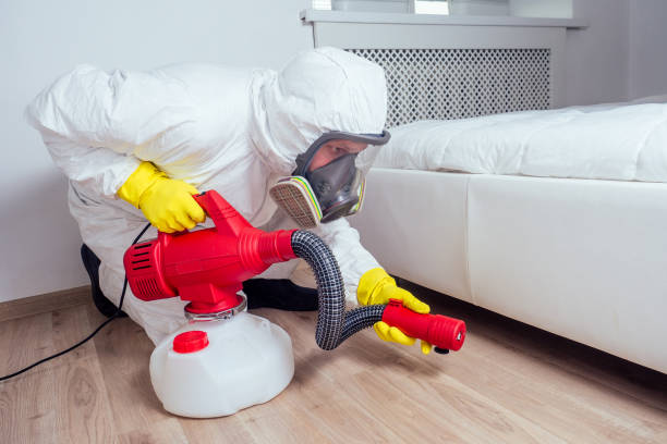 Emergency Pest Control Services in Ignacio, CO